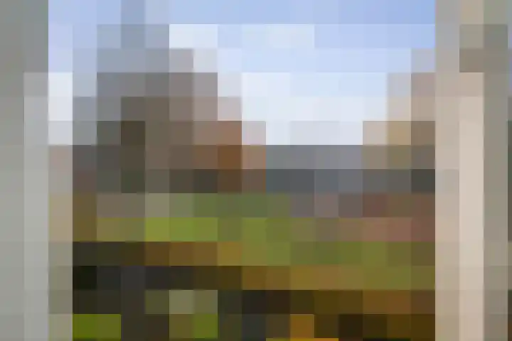 Meindert Hobbemastraat 6 Twello thumbnail 21