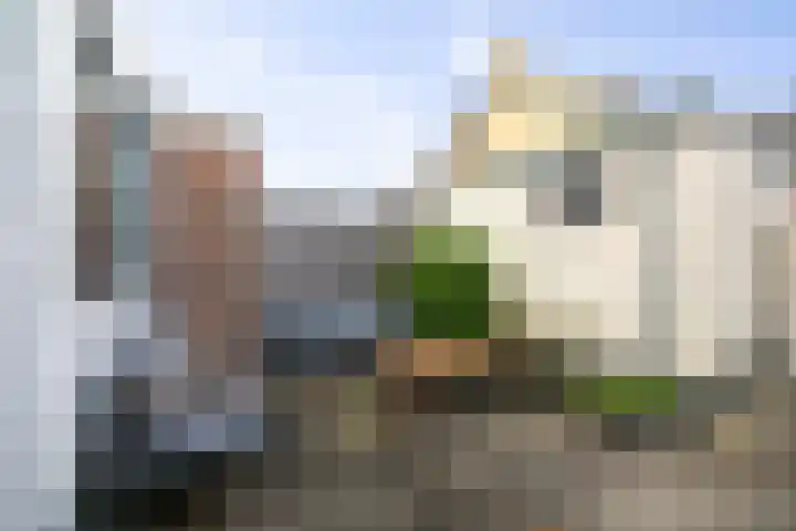 Meindert Hobbemastraat 6 Twello thumbnail 27