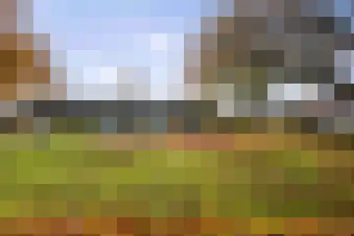 Meindert Hobbemastraat 6 Twello thumbnail 29