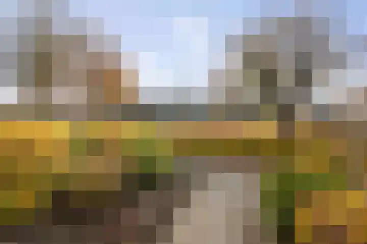Meindert Hobbemastraat 6 Twello thumbnail 4