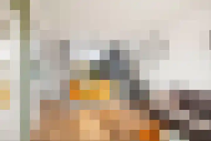 Meindert Hobbemastraat 6 Twello thumbnail 9