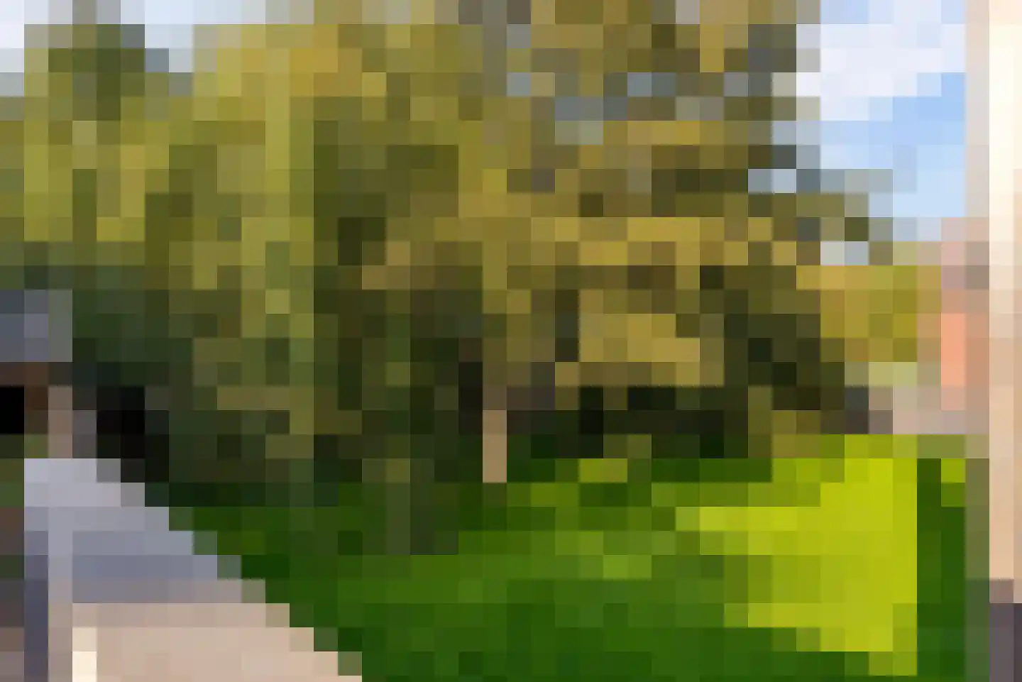 Meindert Hobbemastraat 69 Almere thumbnail 47