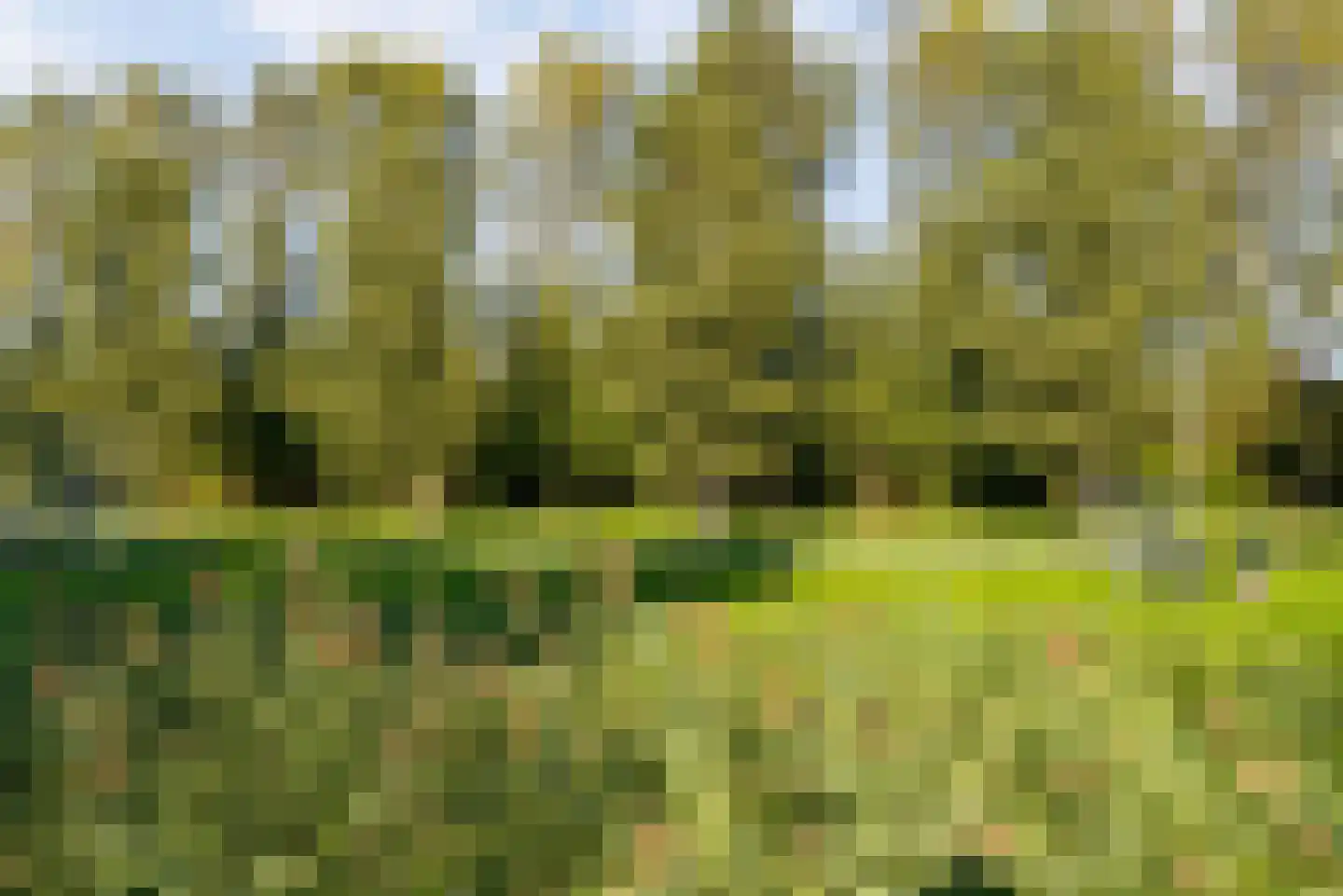 Meindert Hobbemastraat 69 Almere thumbnail 62