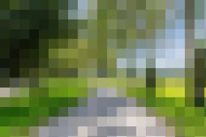 Meindert Hobbemastraat 81 Almere thumbnail 53