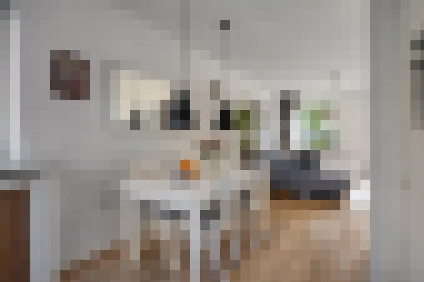 Meindertsloot 1 Enkhuizen thumbnail 12