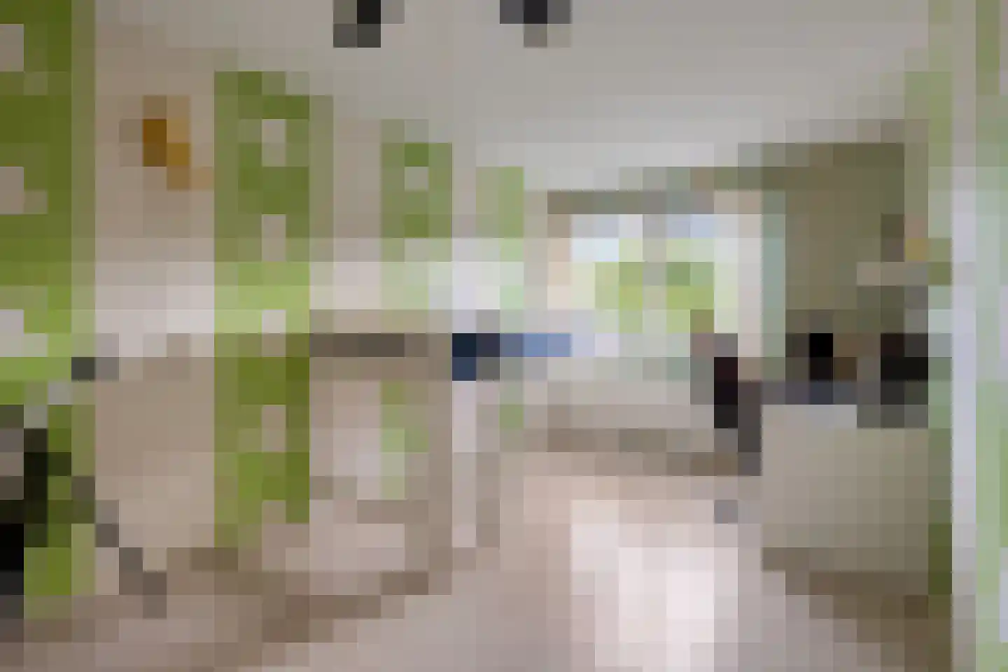 Meindertsloot 1 Enkhuizen thumbnail 19