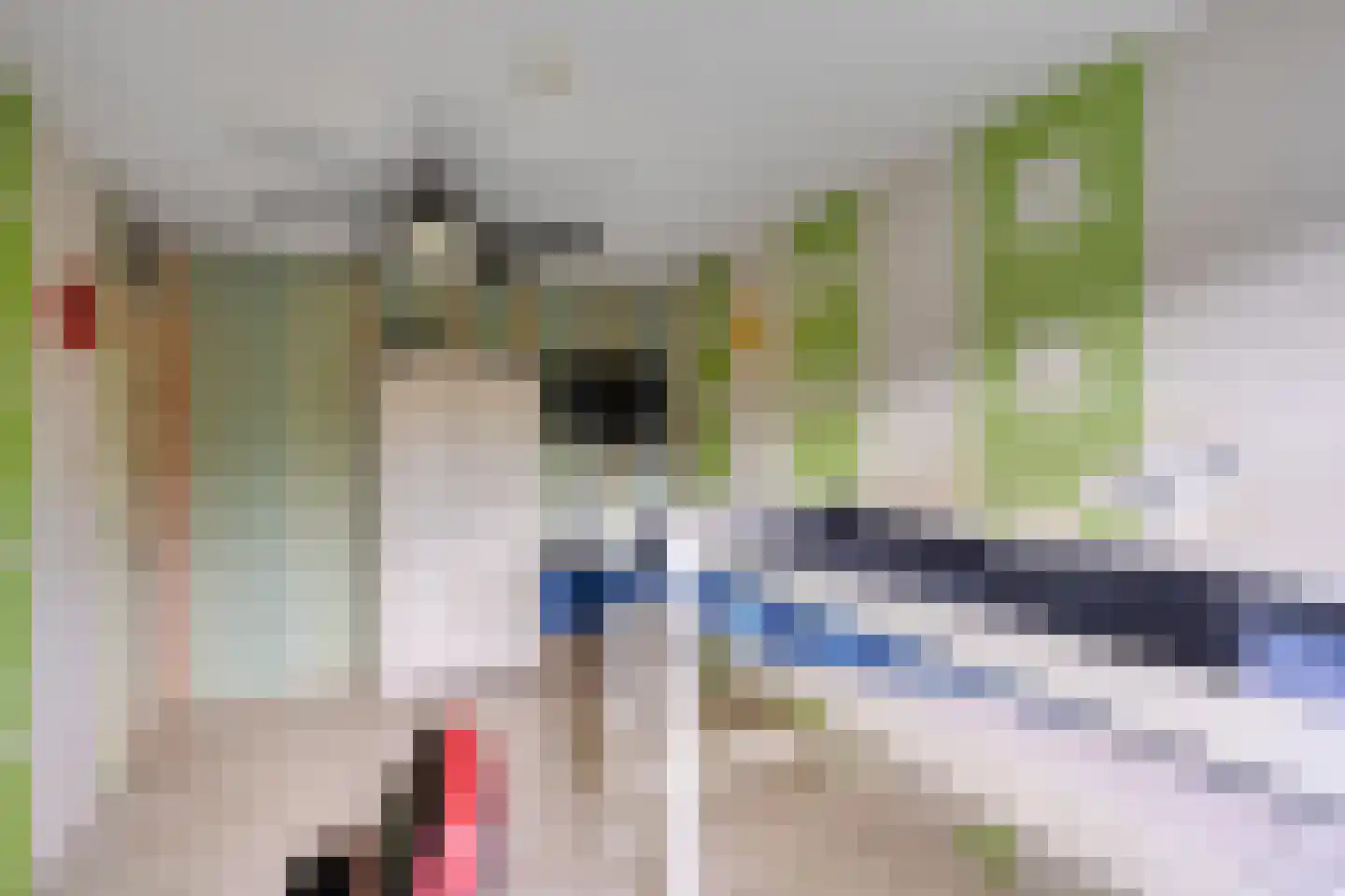 Meindertsloot 1 Enkhuizen thumbnail 20
