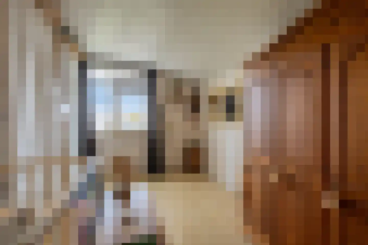 Meindertsloot 1 Enkhuizen thumbnail 23