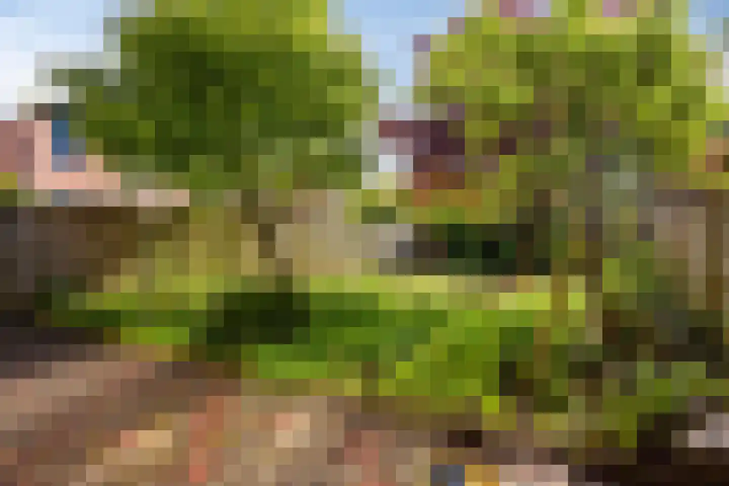 Meindertsloot 1 Enkhuizen thumbnail 25