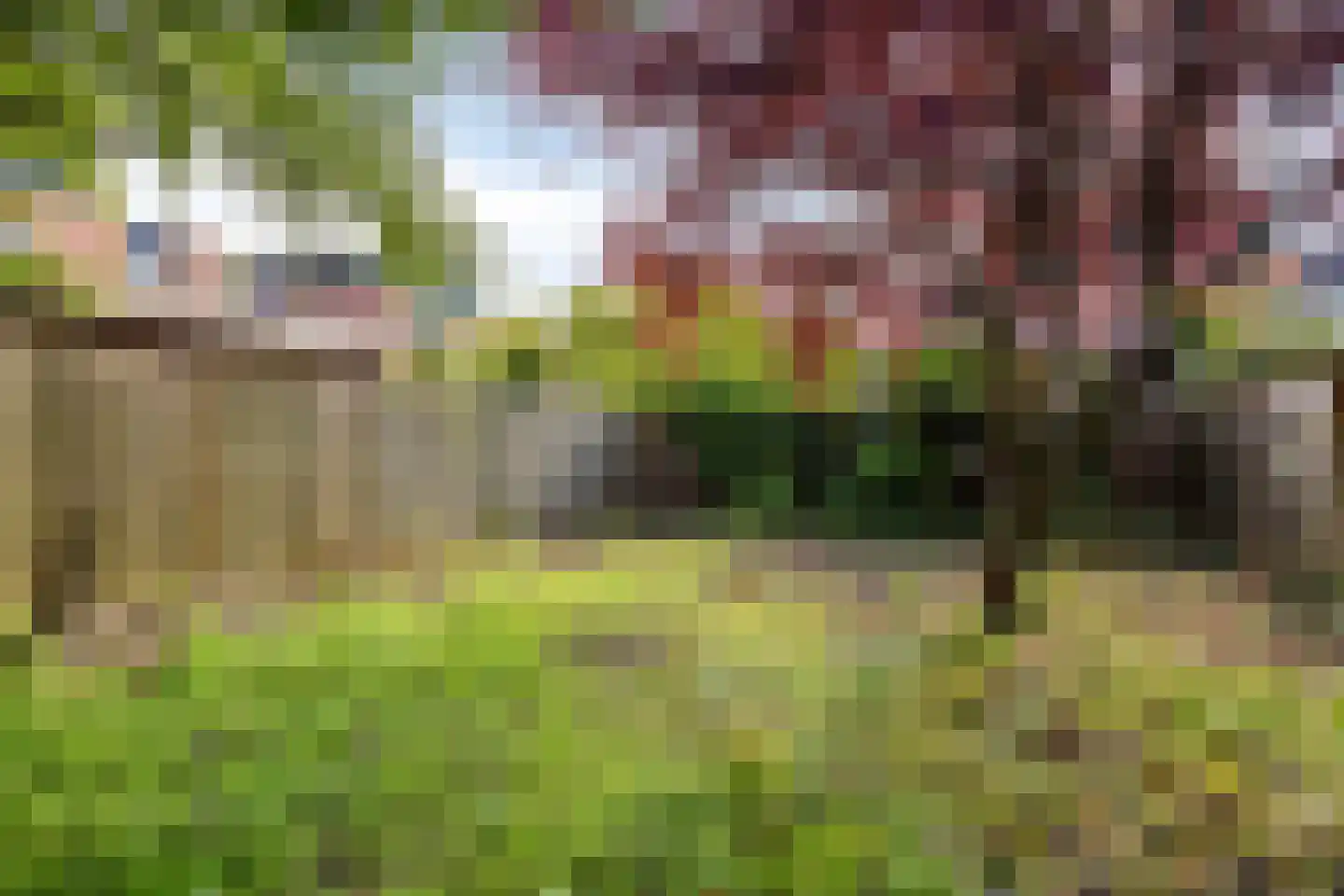 Meindertsloot 1 Enkhuizen thumbnail 28