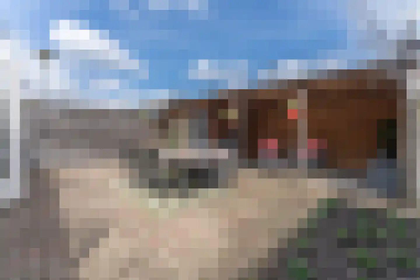 Meindertsloot 17 Enkhuizen thumbnail 41