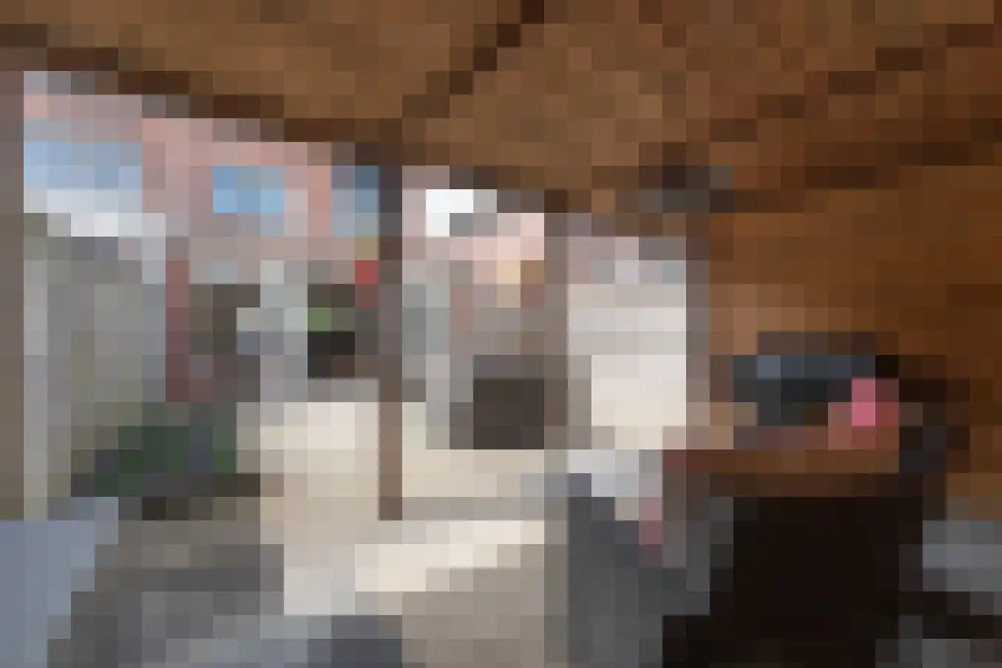 Meindertsloot 17 Enkhuizen thumbnail 45