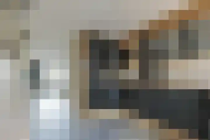 Meindertsloot 6 Enkhuizen thumbnail 18