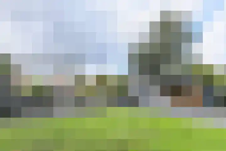 Meindertsloot 6 Enkhuizen thumbnail 46