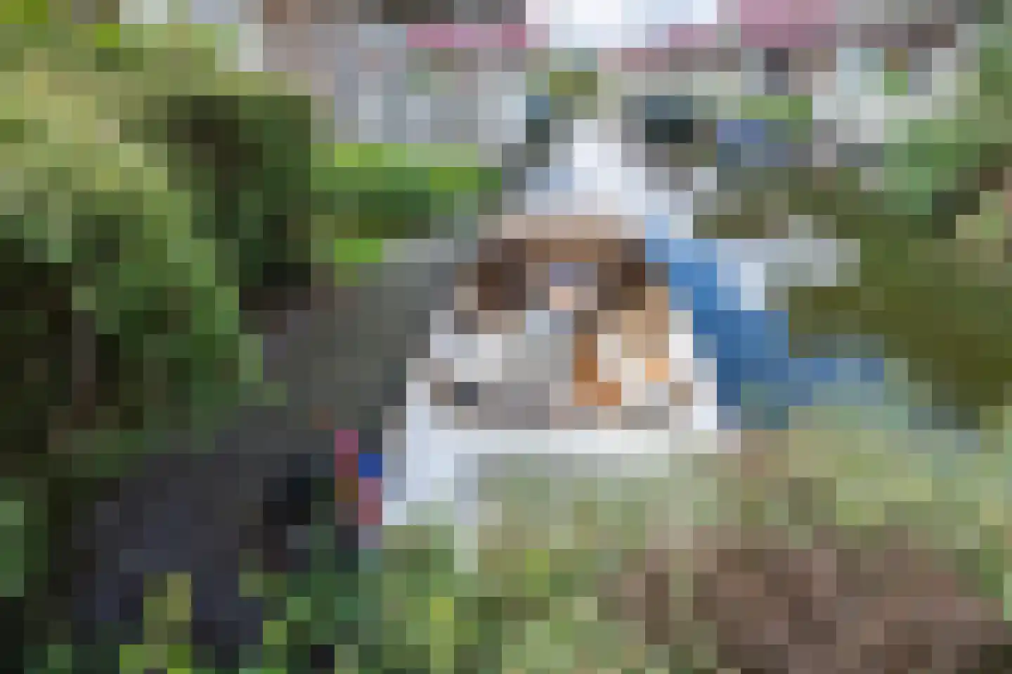 Meinesleatwei 13 Akkrum thumbnail 22