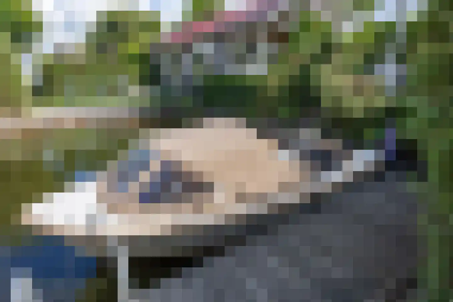 Meinesleatwei 13 Akkrum thumbnail 23