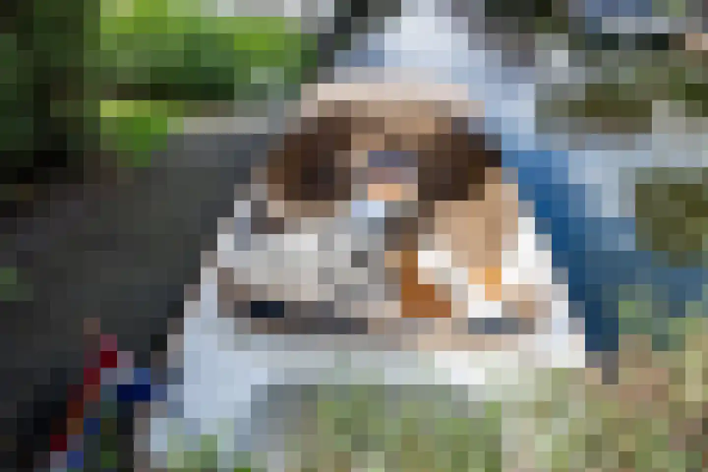 Meinesleatwei 13 Akkrum thumbnail 24