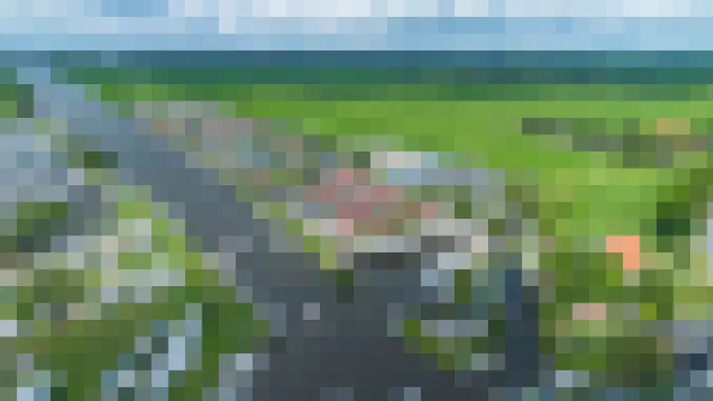 Meinesleatwei 13 Akkrum thumbnail 35
