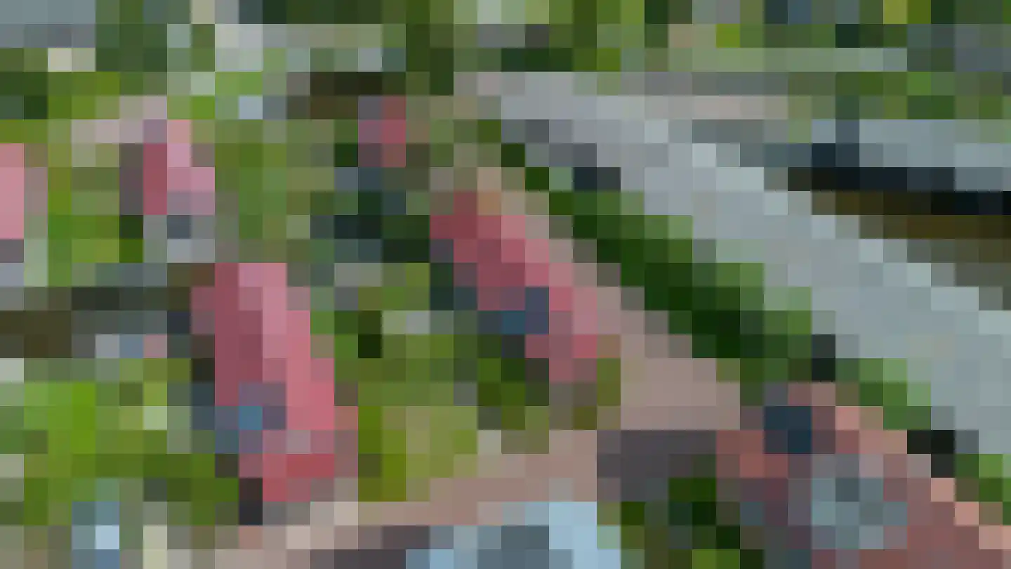 Meinesleatwei 13 Akkrum thumbnail 36