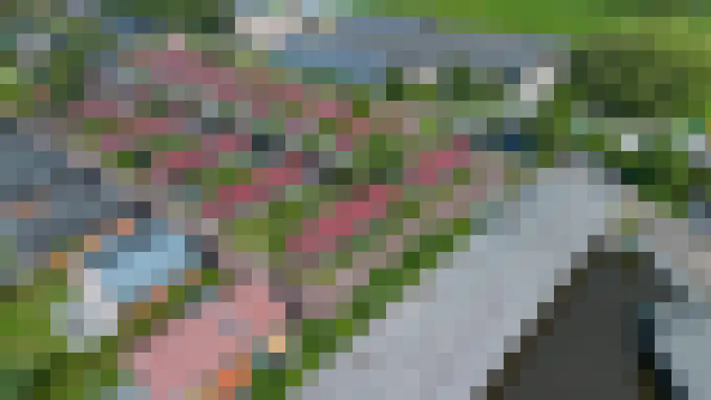 Meinesleatwei 13 Akkrum thumbnail 37
