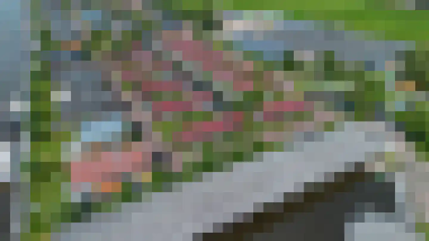 Meinesleatwei 13 Akkrum thumbnail 38