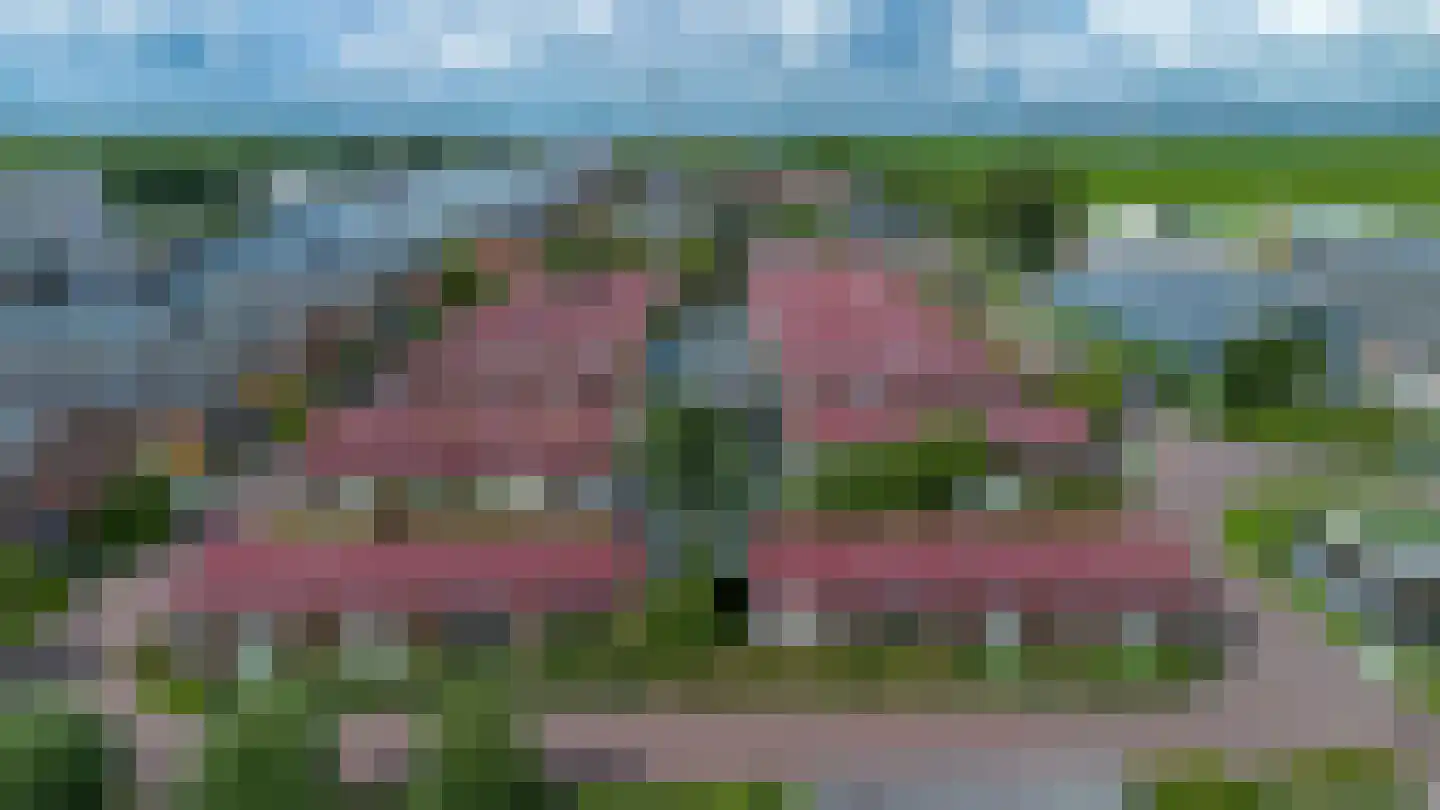 Meinesleatwei 13 Akkrum thumbnail 39