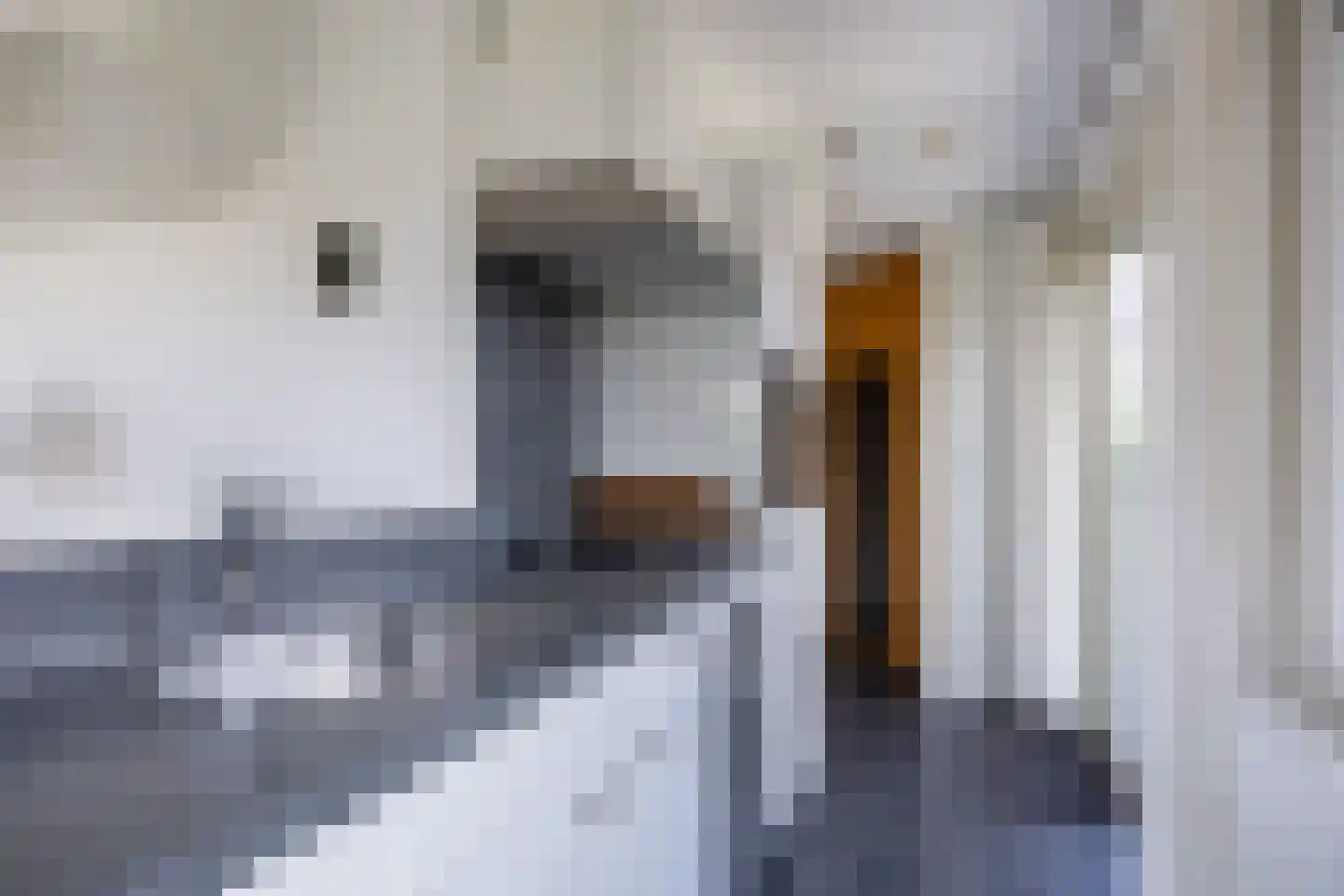 Meinesleatwei 13 Akkrum thumbnail 4