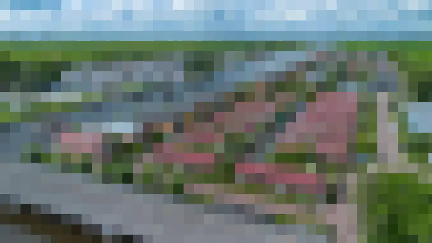 Meinesleatwei 13 Akkrum thumbnail 40