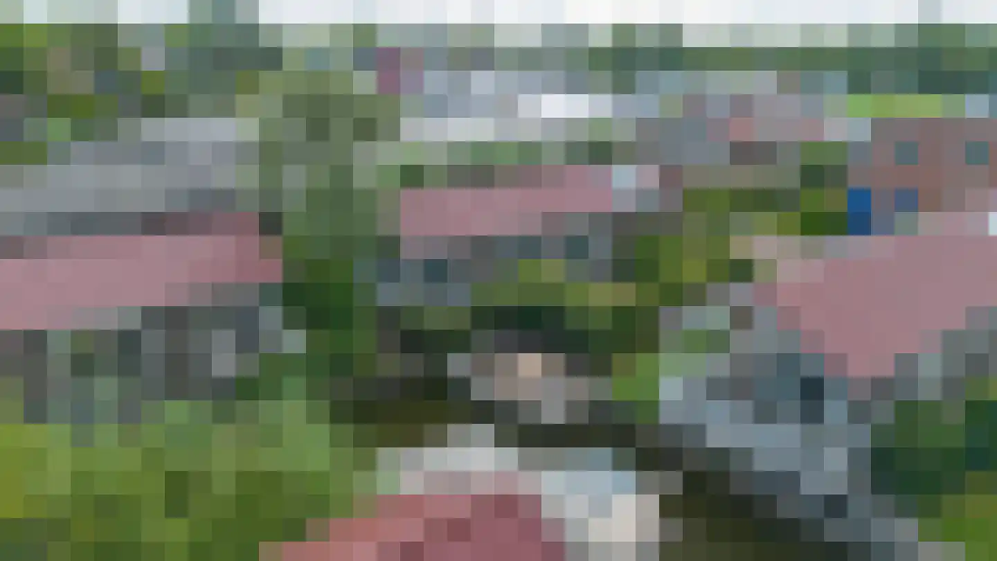 Meinesleatwei 13 Akkrum thumbnail 45
