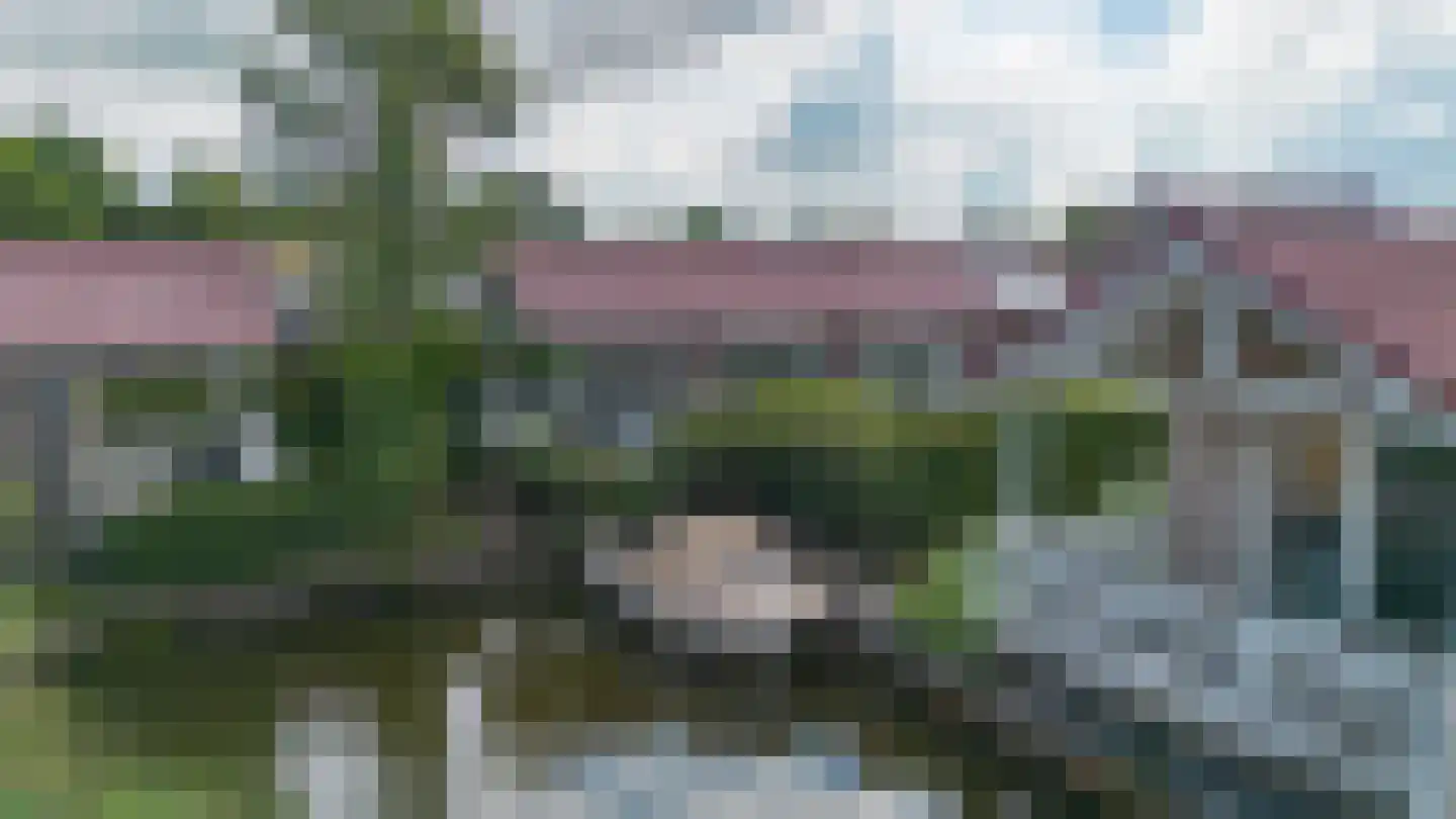 Meinesleatwei 13 Akkrum thumbnail 46