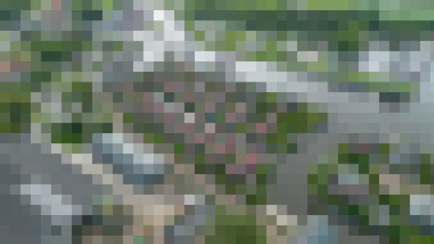 Meinesleatwei 13 Akkrum thumbnail 47