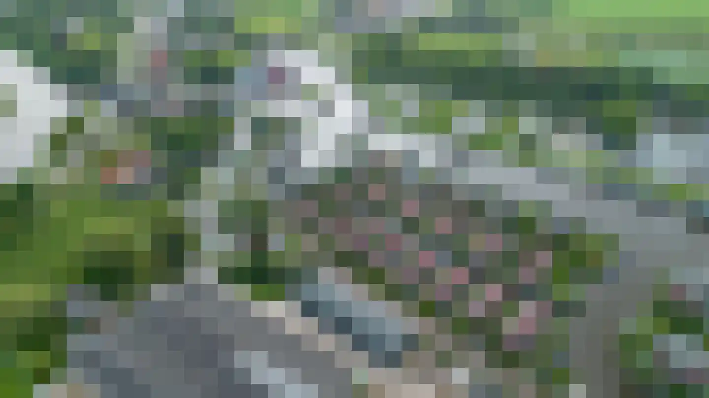 Meinesleatwei 13 Akkrum thumbnail 48