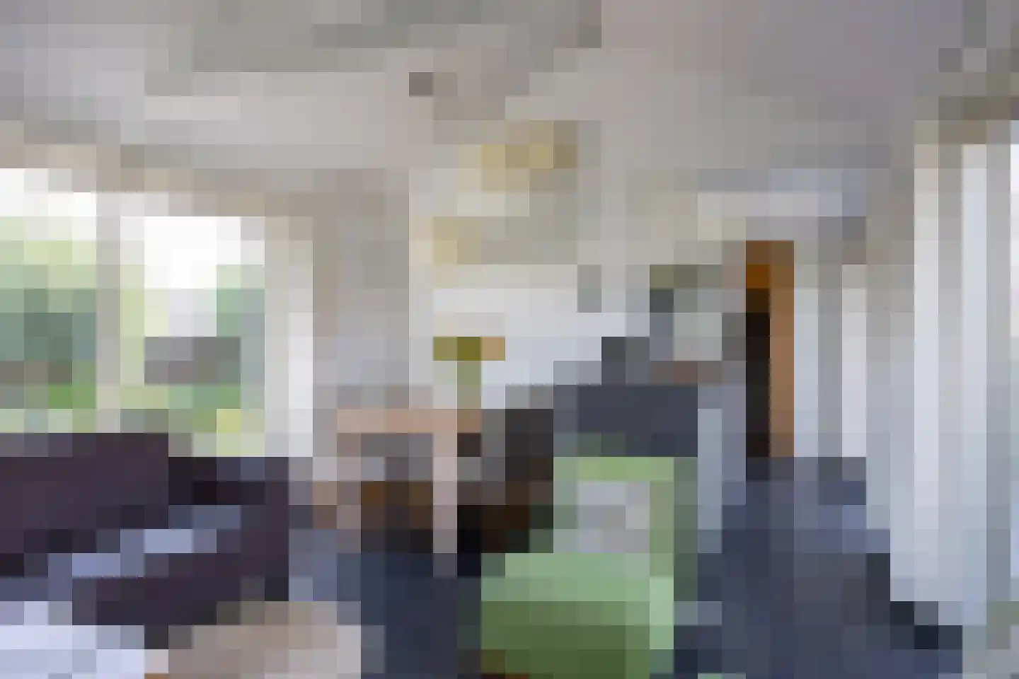Meinesleatwei 13 Akkrum thumbnail 5