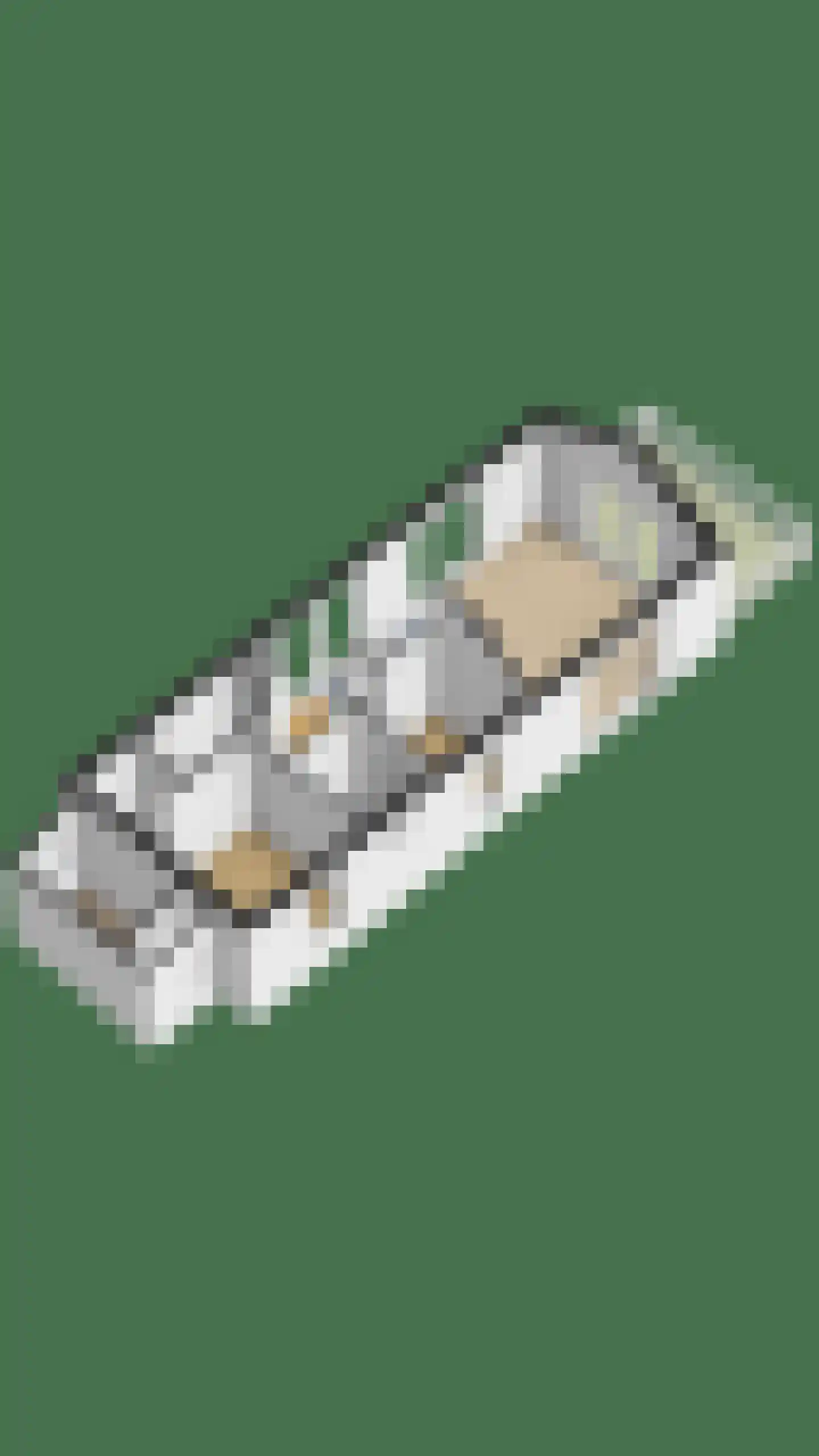 Meinesleatwei 13 Akkrum thumbnail 51