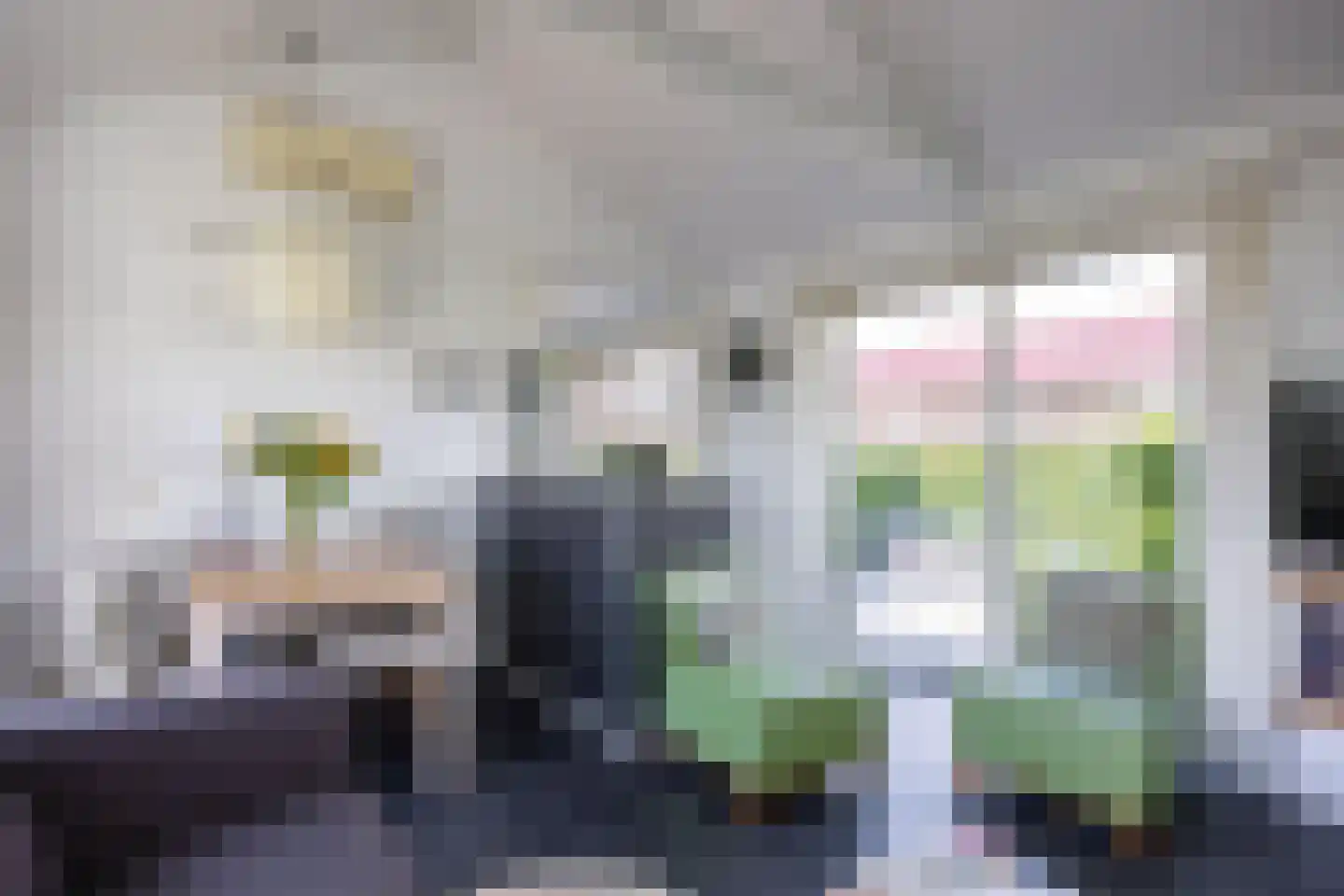 Meinesleatwei 13 Akkrum thumbnail 6