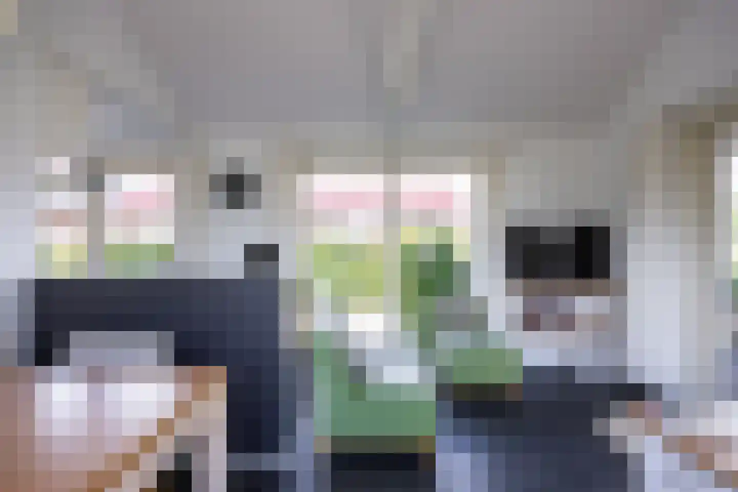 Meinesleatwei 13 Akkrum thumbnail 7