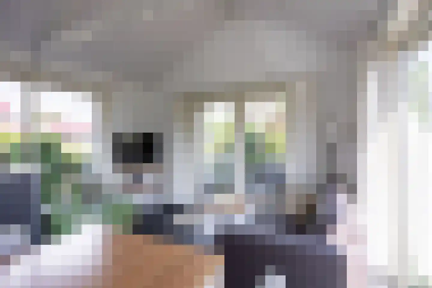 Meinesleatwei 13 Akkrum thumbnail 8