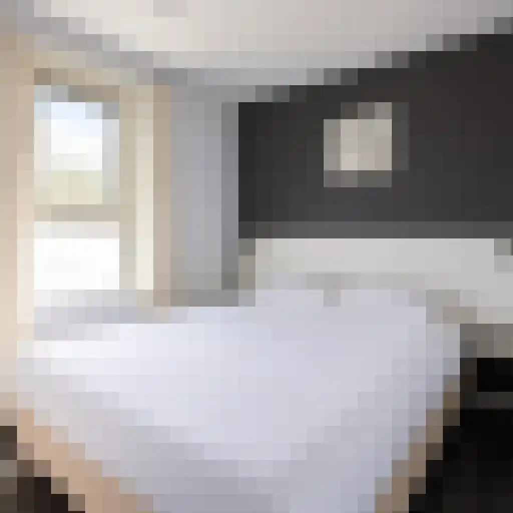 Meinesleatwei 13 Akkrum thumbnail 9