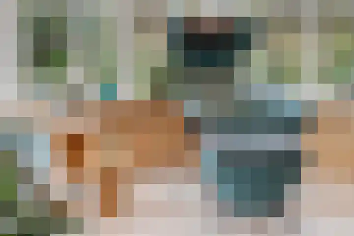 Meinesleatwei 14 Akkrum thumbnail 11