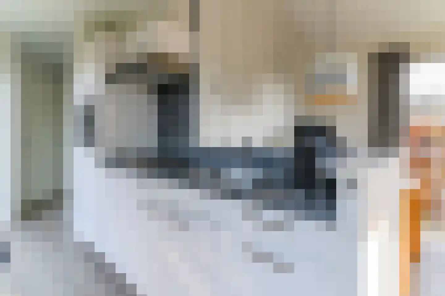 Meinesleatwei 14 Akkrum thumbnail 11
