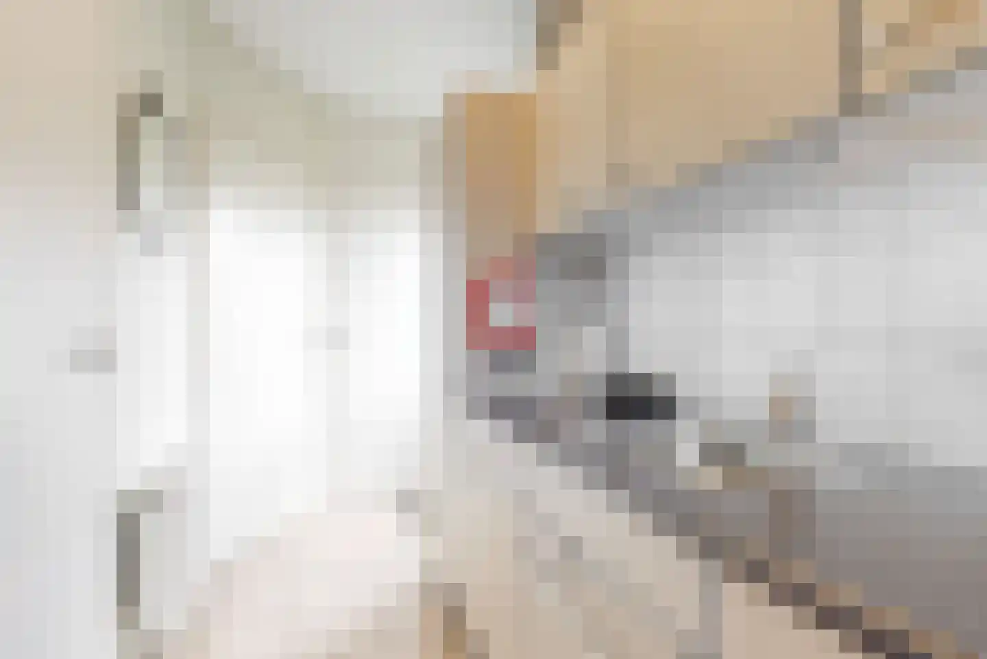 Meinesleatwei 14 Akkrum thumbnail 12