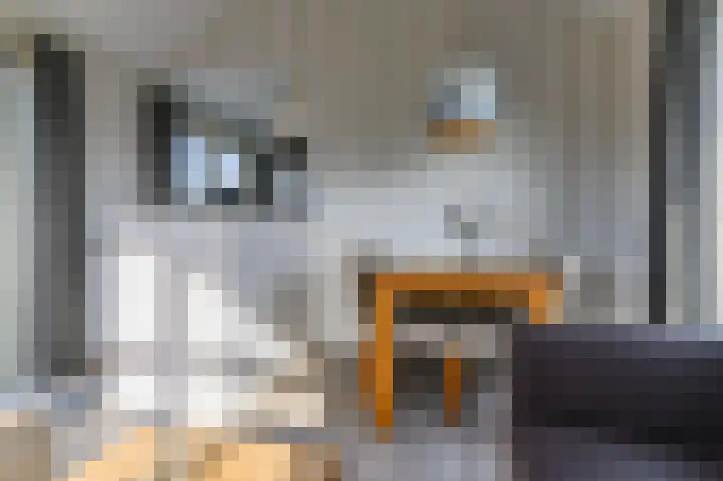 Meinesleatwei 14 Akkrum thumbnail 13
