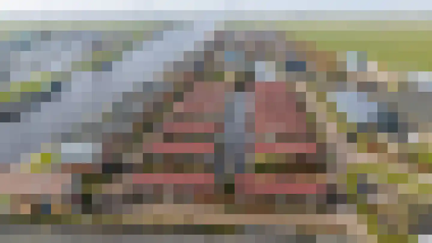 Meinesleatwei 14 Akkrum thumbnail 32