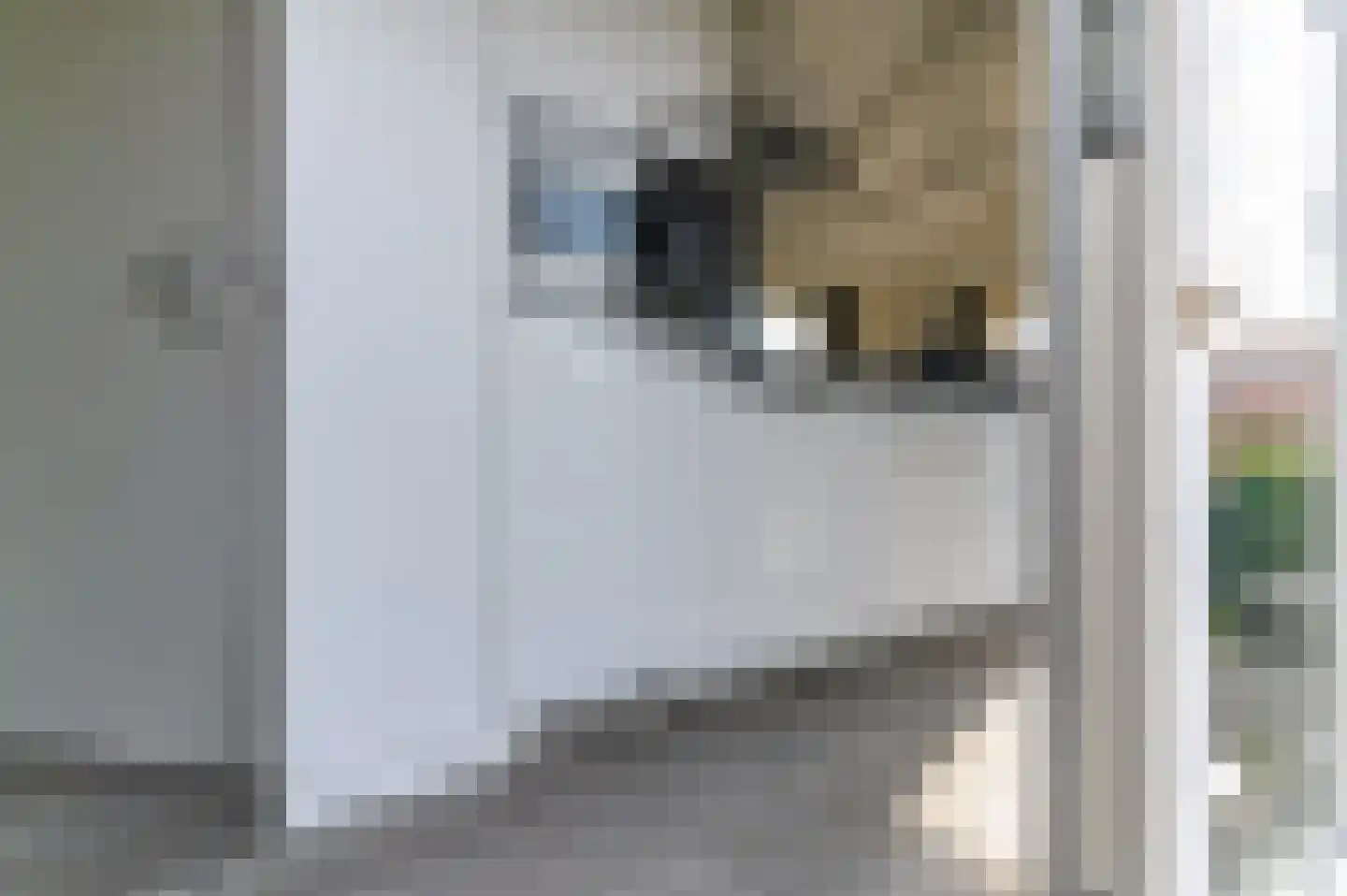 Meinesleatwei 14 Akkrum thumbnail 9