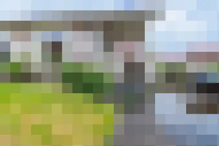 Meinesleatwei 20 Akkrum thumbnail 10