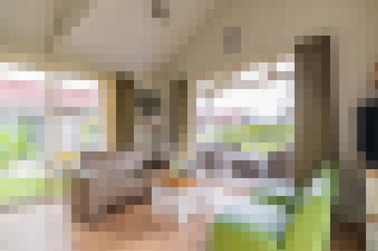 Meinesleatwei 20 Akkrum thumbnail 11
