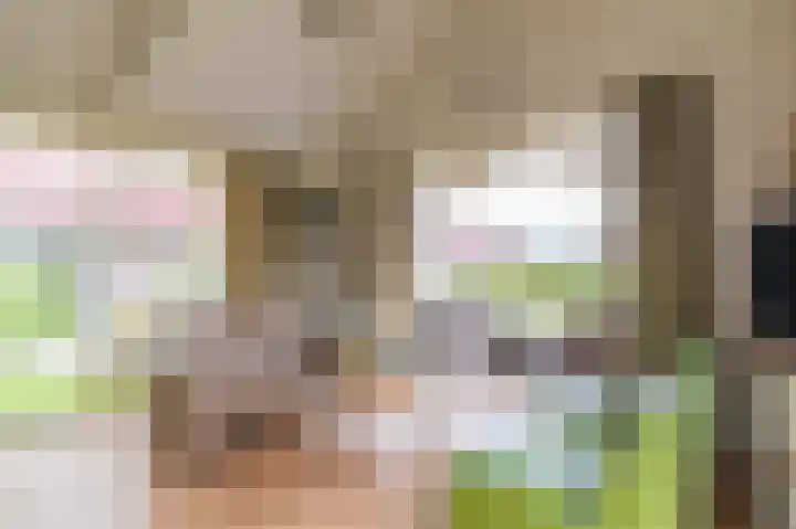 Meinesleatwei 20 Akkrum thumbnail 11