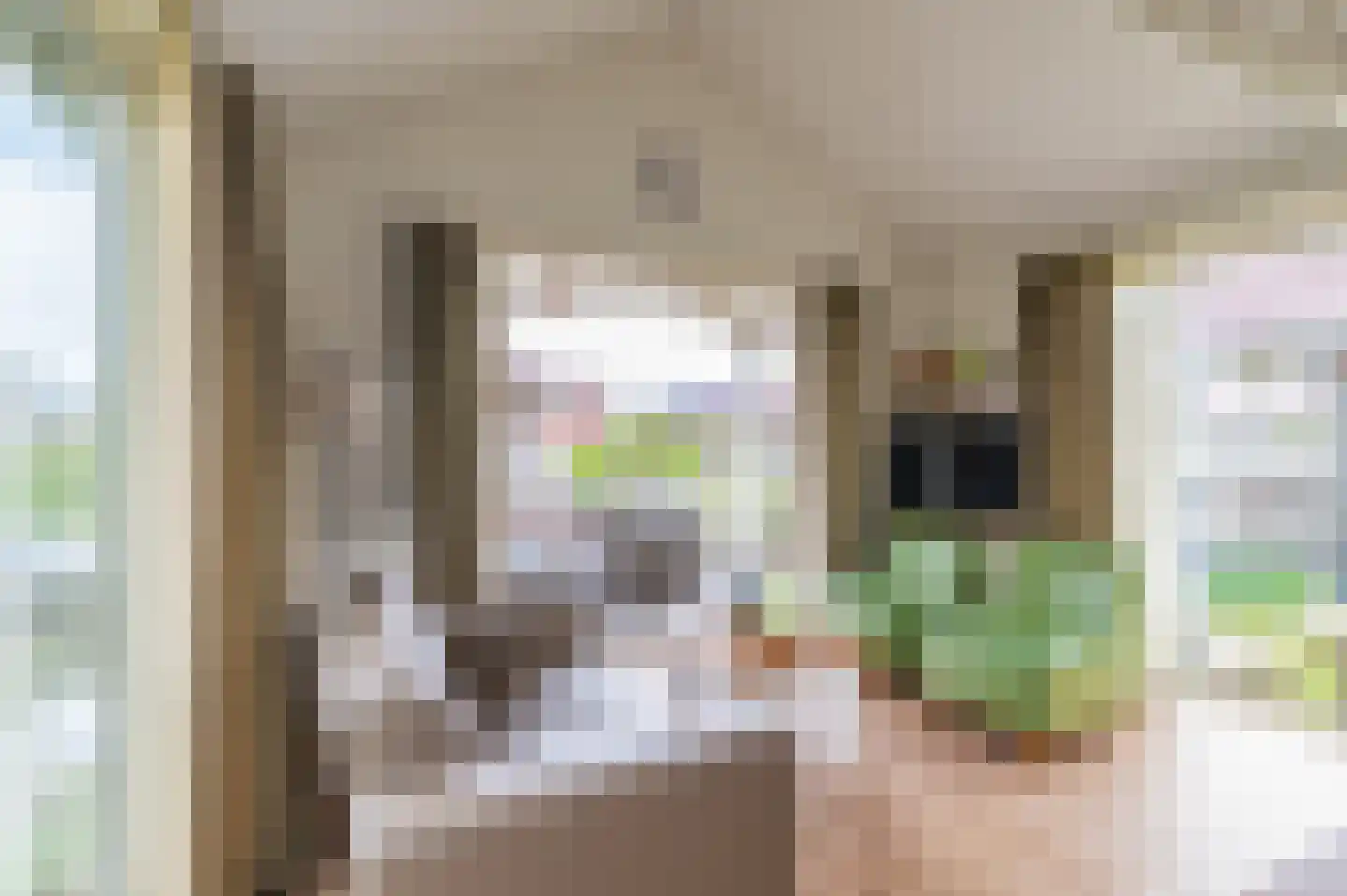 Meinesleatwei 20 Akkrum thumbnail 12