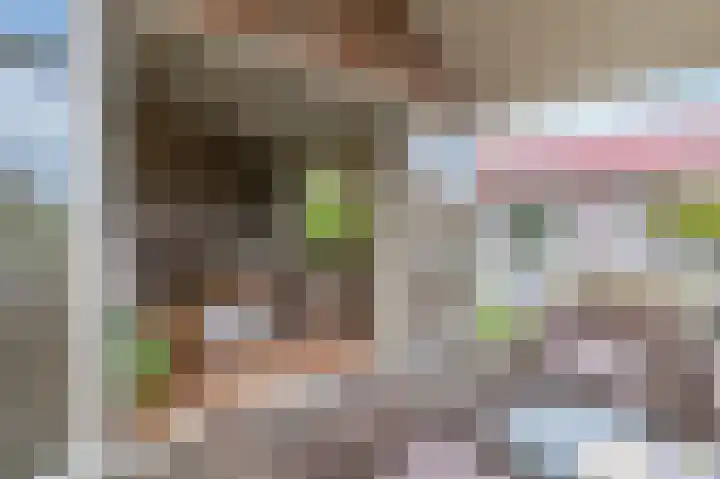 Meinesleatwei 20 Akkrum thumbnail 4
