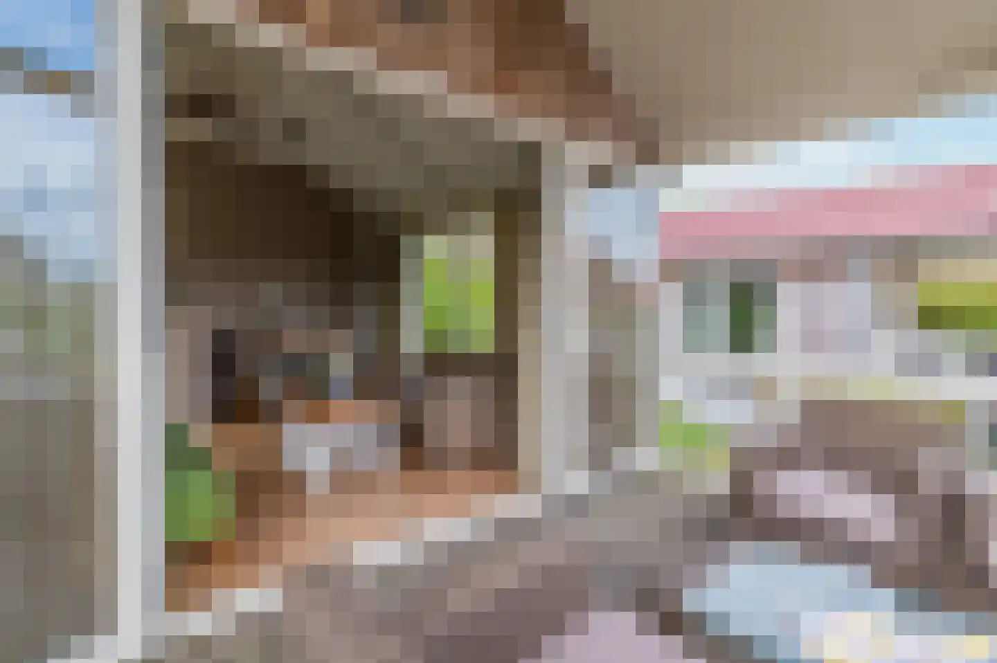 Meinesleatwei 20 Akkrum thumbnail 4